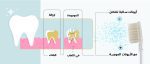 Ionic Miswak Toothbrush - Image 2